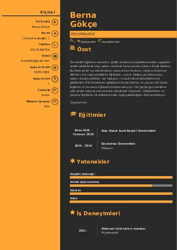 Fizyoterapist Cv Örnekleri cv indir